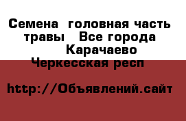 Семена (головная часть))) травы - Все города  »    . Карачаево-Черкесская респ.